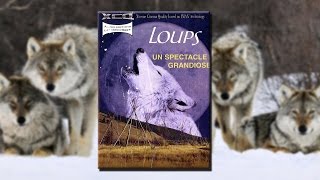 Documentaire Le loup, un spectacle grandiose