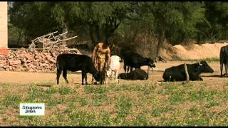 Documentaire Échappées belles – Inde, Rajasthan