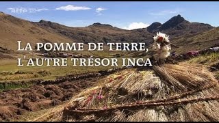 Documentaire La pomme de terre, l’autre trésor inca
