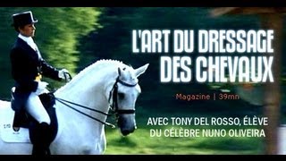Documentaire Equitation : l’art de dresser les chevaux