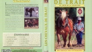 Documentaire L’utilisation des chevaux de traits et traditions
