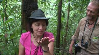 Documentaire Au delà des voyages – Guyane, pays de forêt et d’eau