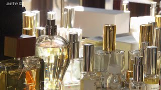 Documentaire Secrets de parfumeurs