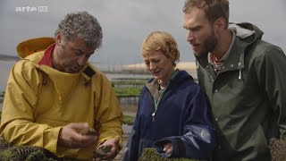 Documentaire Xenius – Fruits de mer… à deguster les yeux fermés