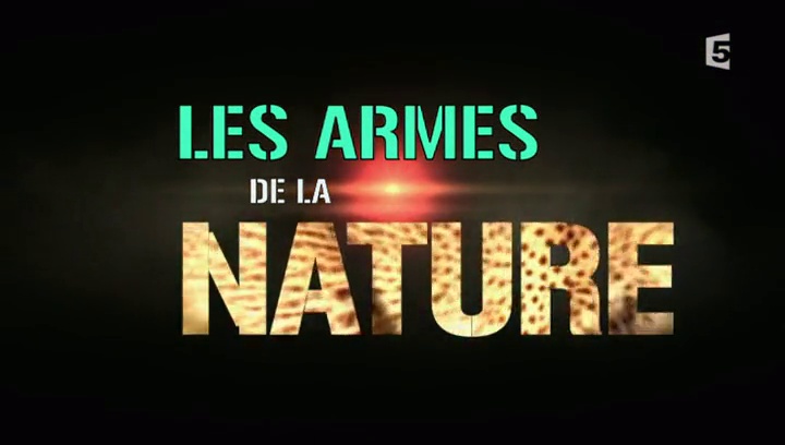 Documentaire Les armes de la nature – Becs & ongles