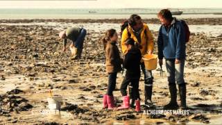 Documentaire C’est pas Sorcier – A l’heure des marées