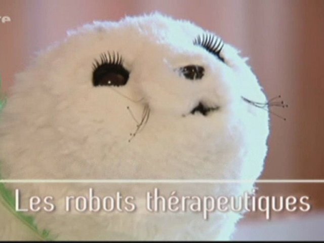 Documentaire Les robots thérapeutiques