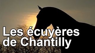 Documentaire Les écuyères de Chantilly