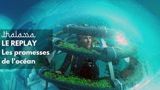 Documentaire Les promesses de l’océan