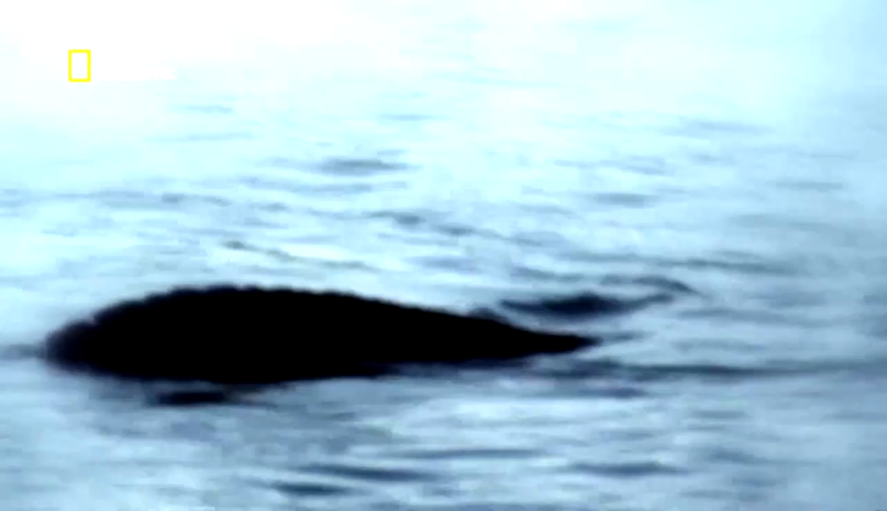 Documentaire Toute la vérité sur: le monstre du Loch Ness