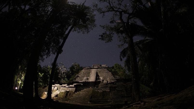 Documentaire Le monde secret de la Nuit – Dans la jungle du Costa Rica