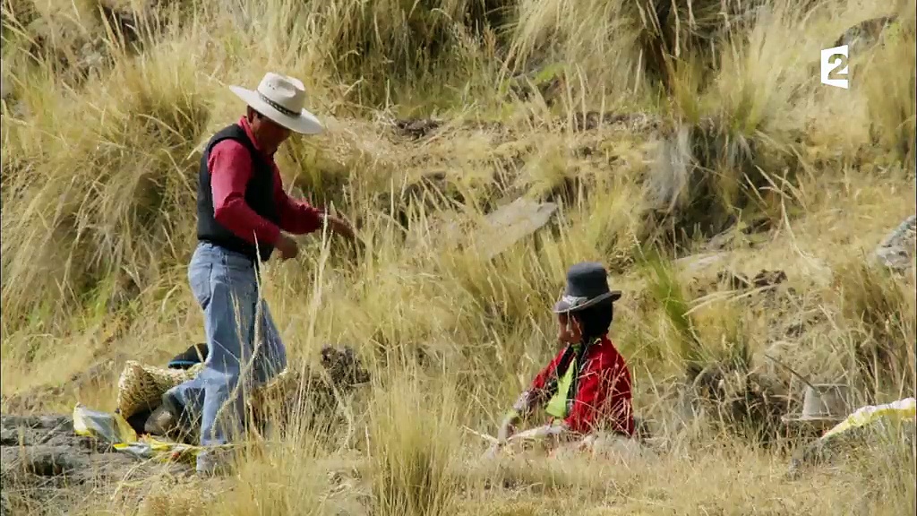 Documentaire Grandeurs nature – Montagnes sauvages, la cordillère des Andes