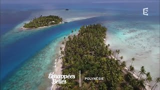 Documentaire Échappées belles – Polynésie, un goût de paradis