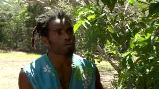 Documentaire La forêt de Pindai