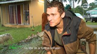 Documentaire La fête de la forêt à Gohapin
