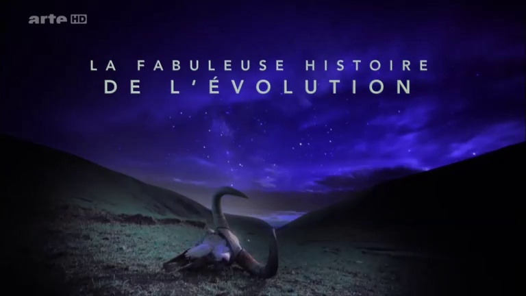 Documentaire La fabuleuse histoire de l’évolution – Ep01 – Afrique, le rift Albertin