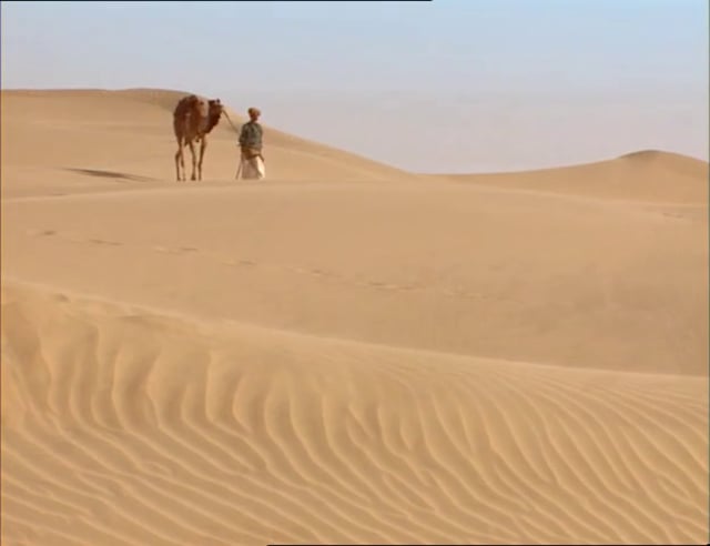 Documentaire Le père des chameaux