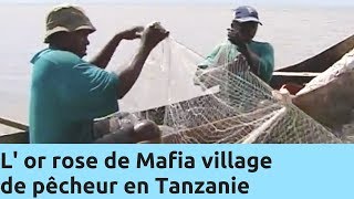 Documentaire L’or rose de Mafia, village de pêcheur en Tanzanie