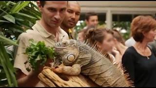 Animal Expo : le salon animalier de la démesure - Reportage