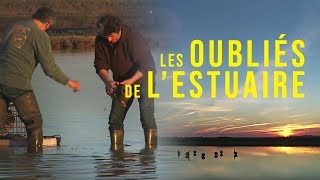 Médoc : les oubliés de l’estuaire