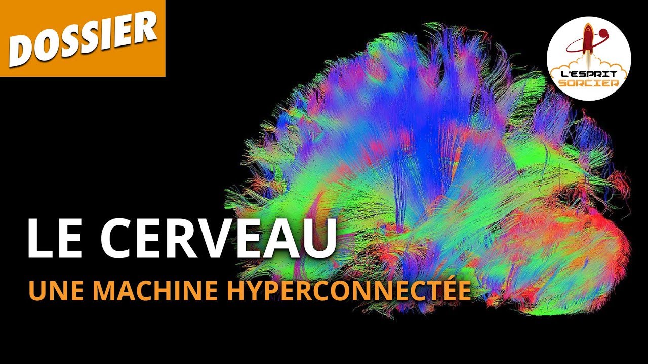 Documentaire Le cerveau, une machine hyperconnectée
