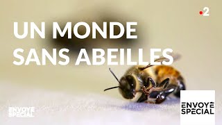 Documentaire Un monde sans abeilles