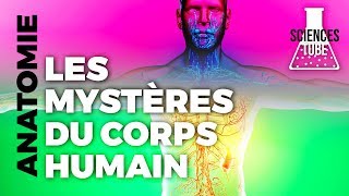 Documentaire Les mystères du corps humain – Les super pouvoirs de l’énergie vitale