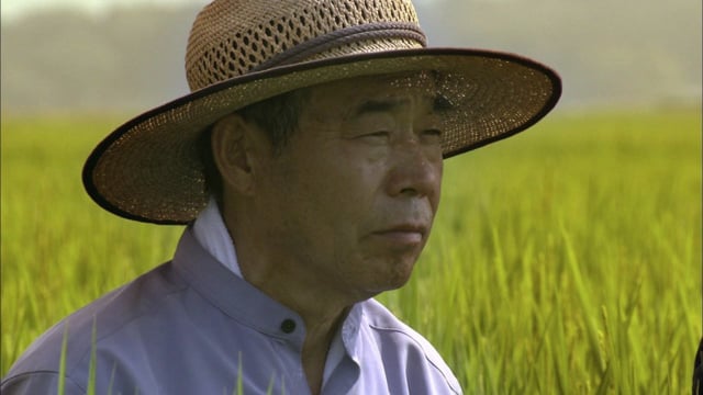 Documentaire Le maître du Riz – Japon