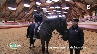 Documentaire Le Cadre noir de Saumur