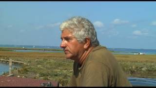 Documentaire Les siffleurs du bassin : chasse aux Limicoles