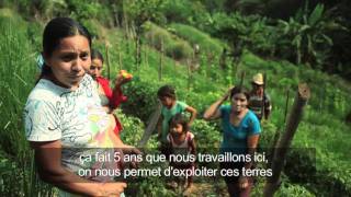 Documentaire Salvador, plus loin que le soleil