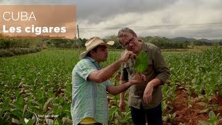 Documentaire Cuba – Les cigares