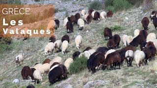 Documentaire Grèce – L’odyssée des Valaques