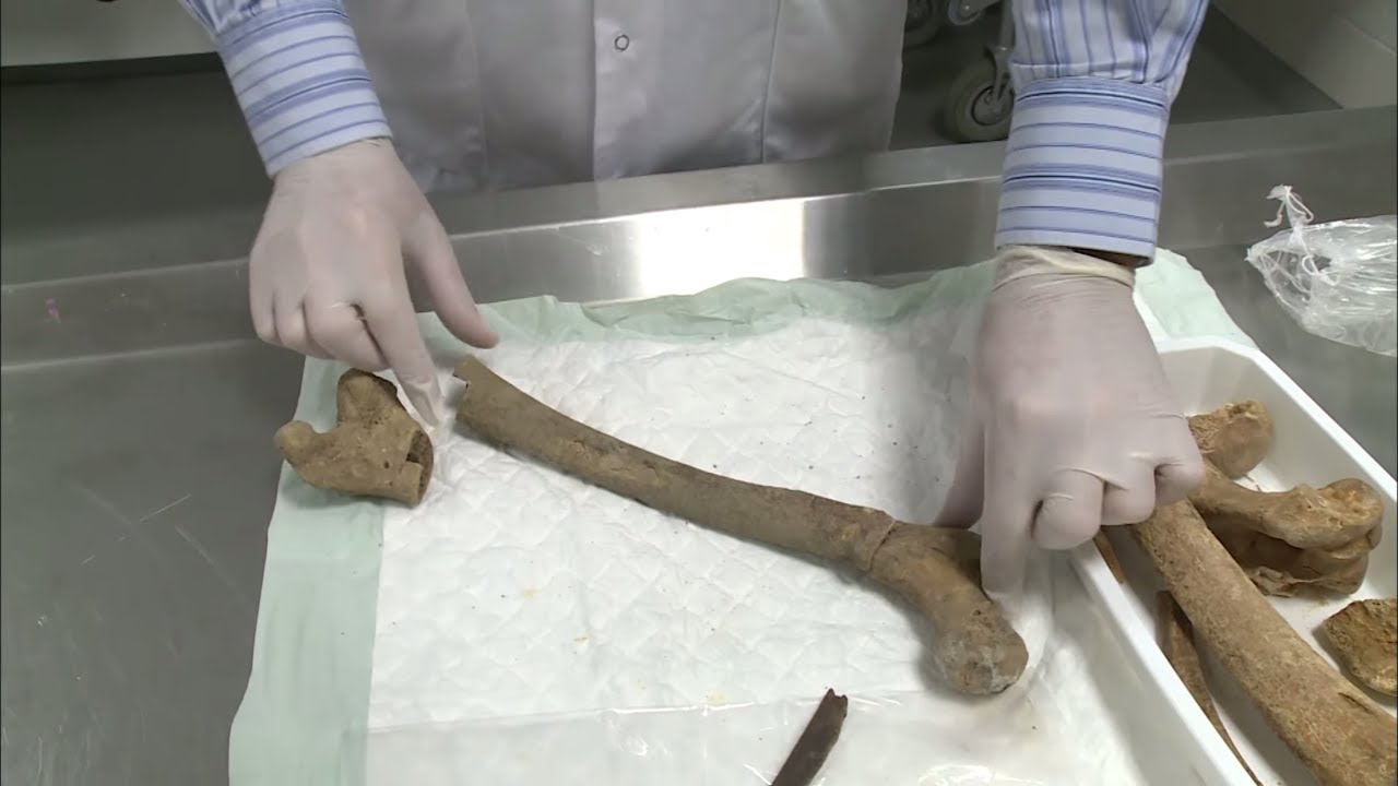 Documentaire Le mystère des ossements d’Antibes
