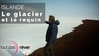 Documentaire Islande, de glace et de feu – le glacier et le requin