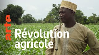 Documentaire Nigeria : cultiver la paix