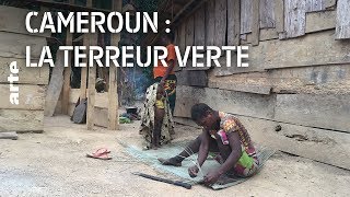 Documentaire Cameroun : la terreur verte