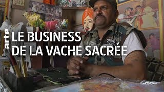Documentaire Inde : le business de la vache sacrée