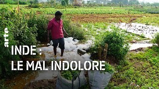 Documentaire Inde : pollution, le mal indolore