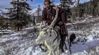Documentaire Le peuple des rennes