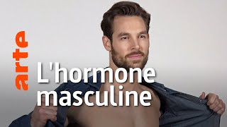 Documentaire Testostérone : une hormone pas si « mâle »