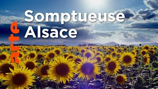 Documentaire L‘Alsace sauvage