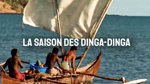 Madagascar, la saison des dinga-dinga