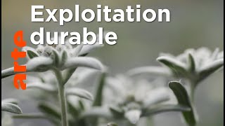 Documentaire Le génie des plantes | Dans les Balkans