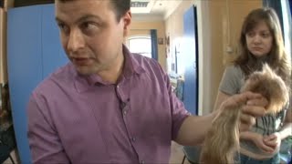 Documentaire Il a monté un business de cheveux en Russie