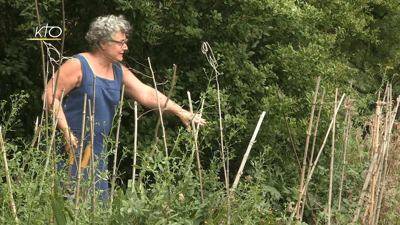 Documentaire Les chrétiens face à l’urgence écologique