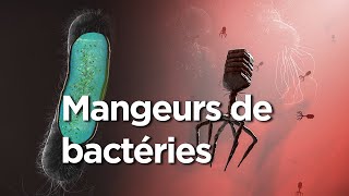 Documentaire L’incroyable histoire des tueurs de bactéries