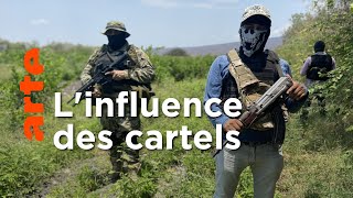 Documentaire Mexique : coronavirus, la fièvre sociale des narcos