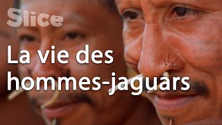 Documentaire Le peuple Matis dans la forêt amazonienne