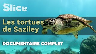 Documentaire Les tortues de Saziley